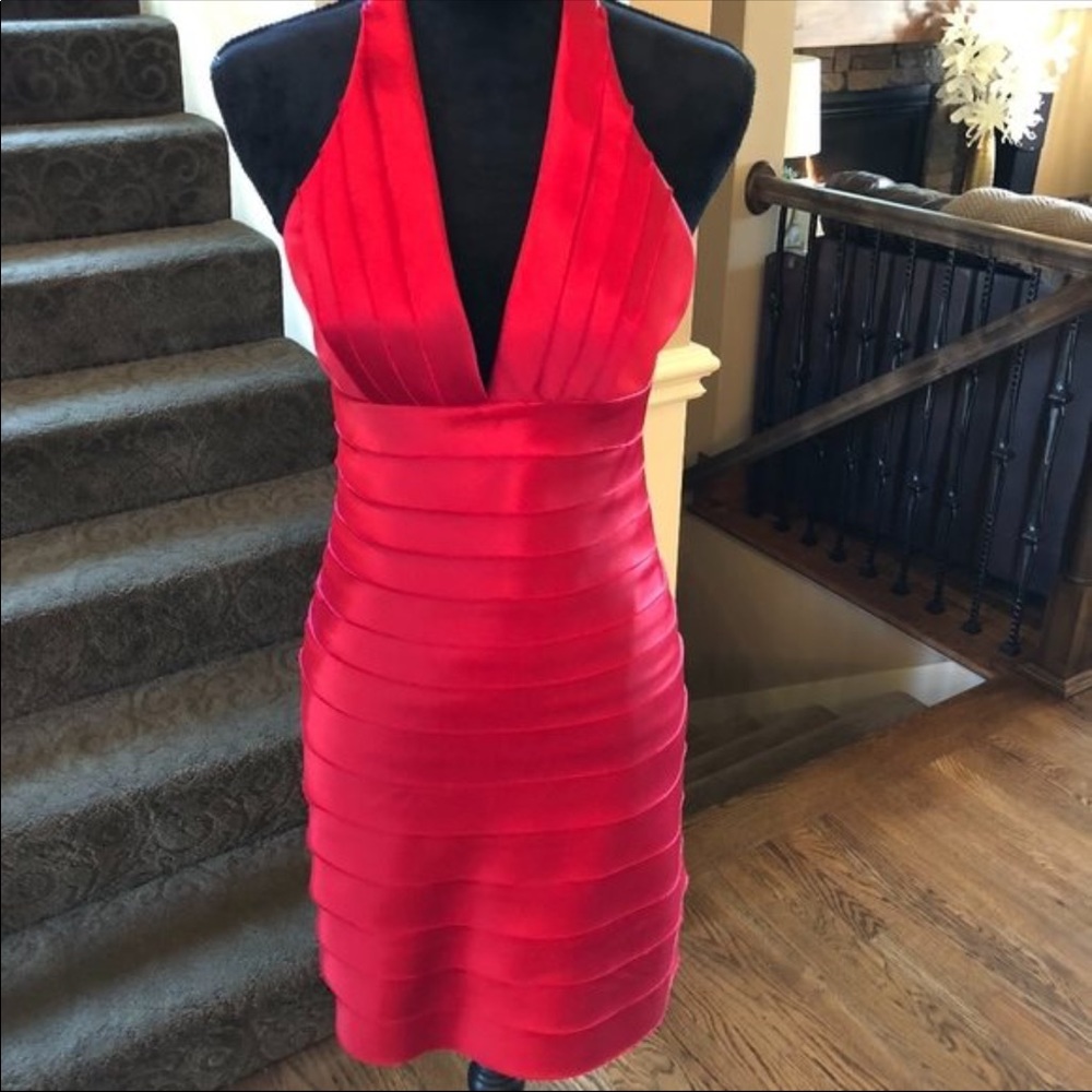 Beautiful BCBG Dress